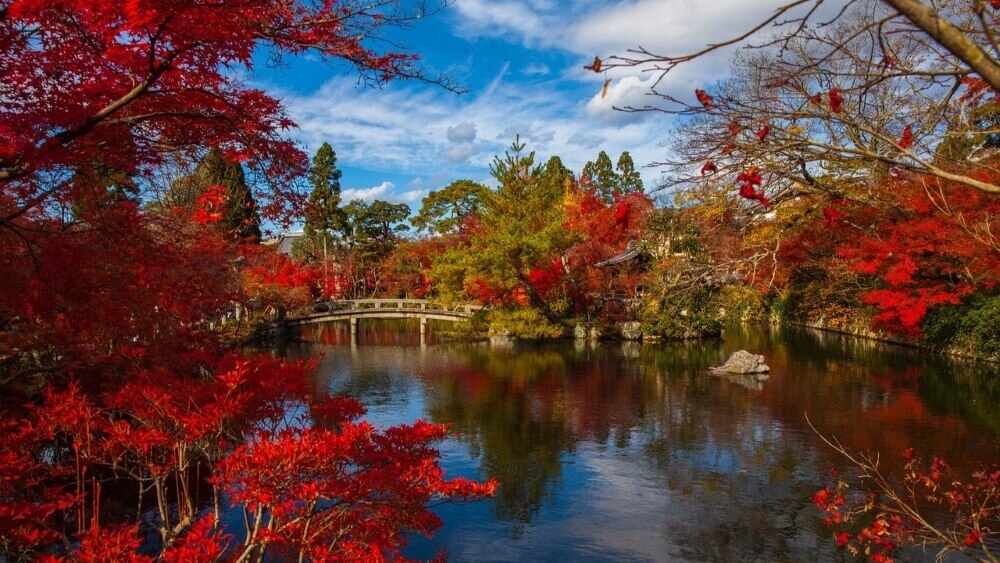 Autumn foliage in Kyoto