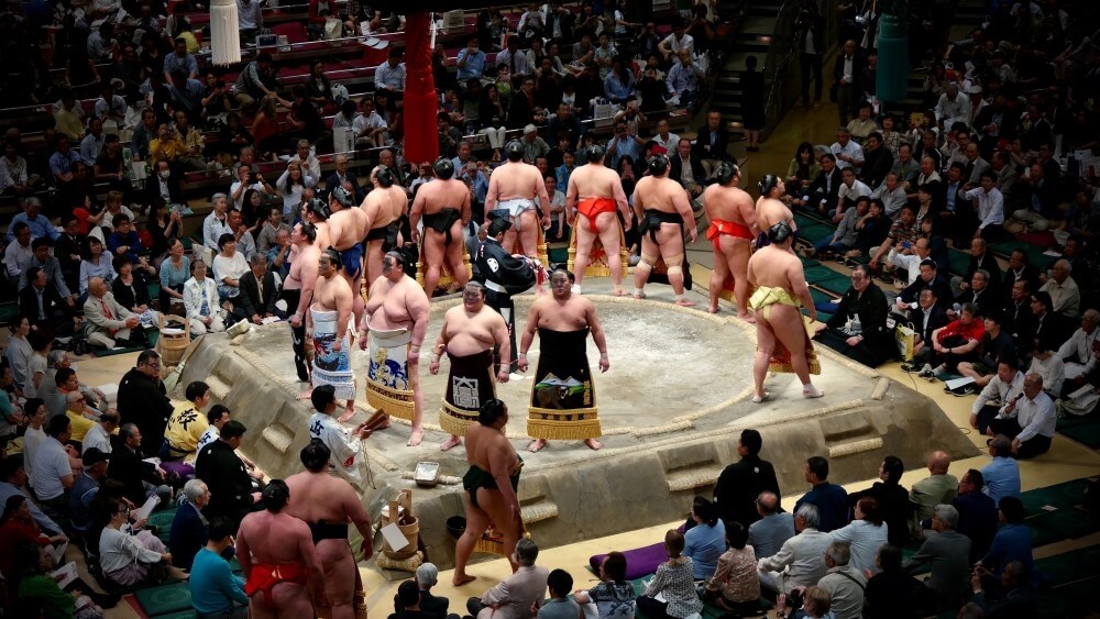 sumo fighters lining up