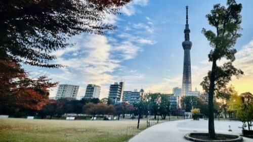 sky tree and sumida park