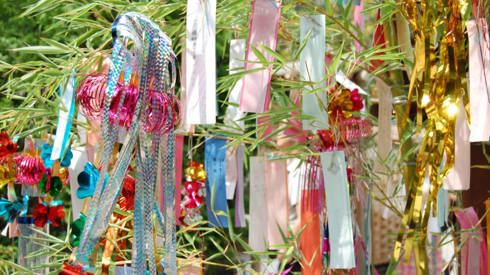 strips are hang on a bamboo tree