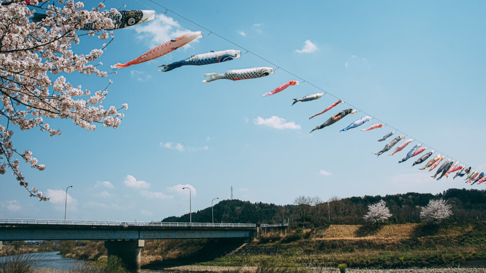 Carp streamers dance in the sky