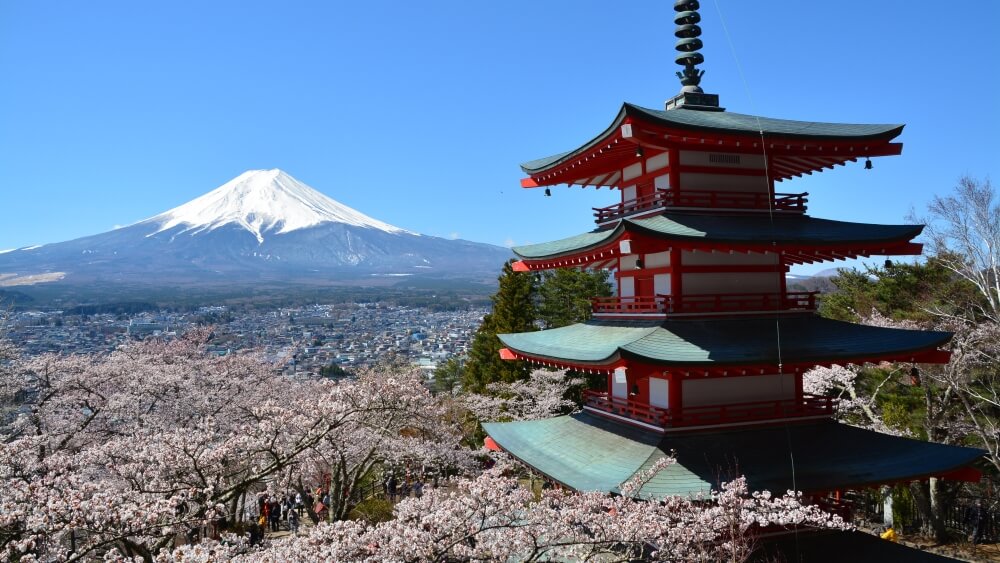 mt fuji view