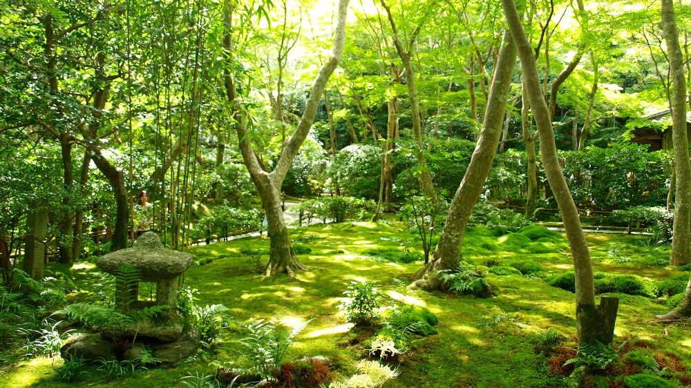 garden of koke-dera, saiho-ji