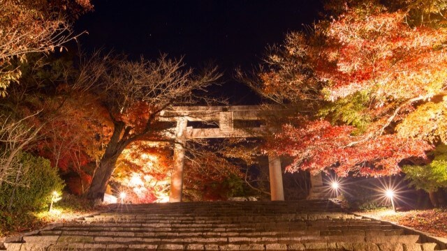 autumn leaves and gate at kamodo shrine, fukuoka