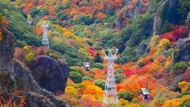 autumn leaves and monorail at kankakei at Kagawa