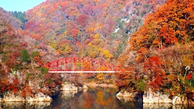 autumn leaves and a bridge over a river at Taishakukyo, Hiroshima