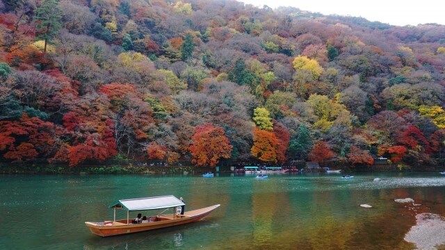 autumn leaves and a boat on river in Arashiyama