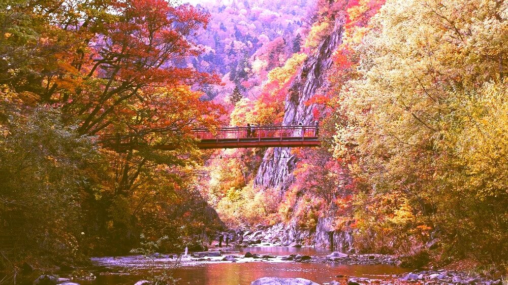 autumn leaves and a red bridge at jozenkei, hokkaido