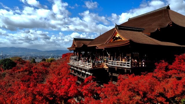 autumn leaves and the kiyomizudera stage