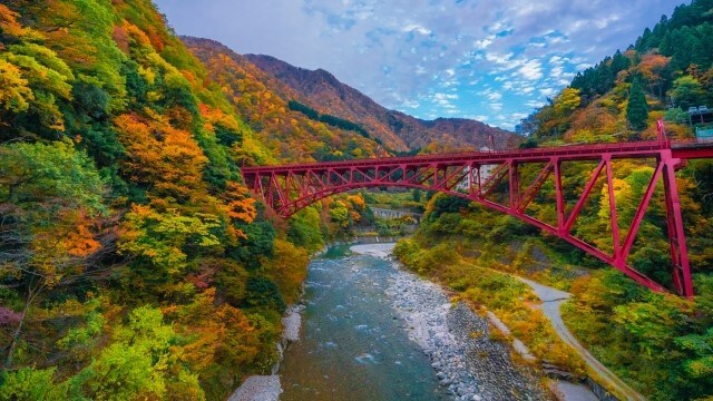 autumn leaves, bridge and a river at kurobe dam at toyama