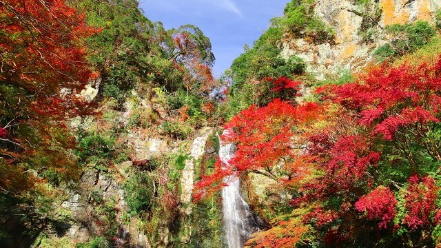 autumn leaves and a water fall at minoh park in Osaka