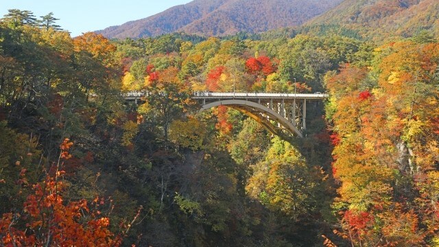 autumn leaves and Naruko bridge in Miyagi