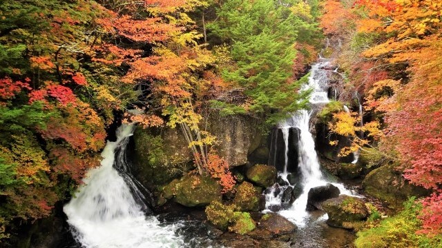 autumn leaves and a water fall at Nikko, Tochigi