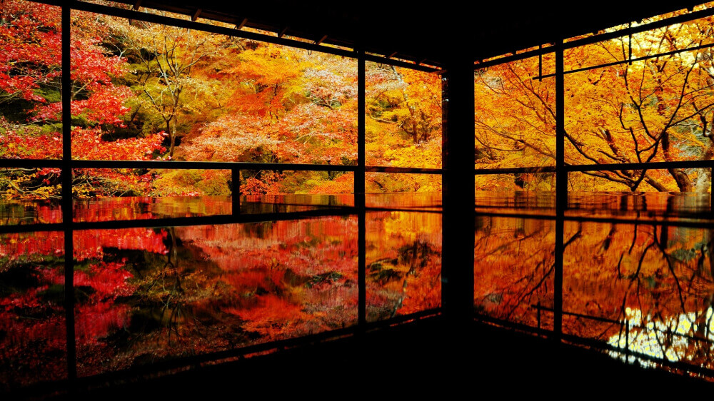 colour of autumn leaves reflect on table at Ruikoin, Kyoto