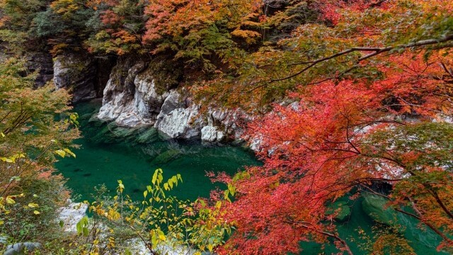 Autumn leaves and a river at iyakei, Tokushima