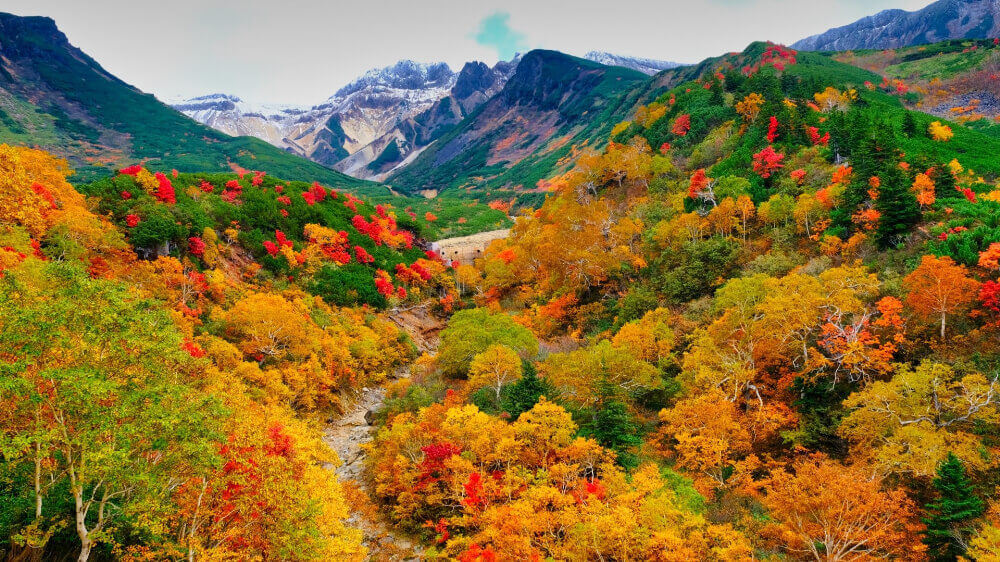 First place to see autumn leaves in Japan, at Taisetsu park, Hokkaido