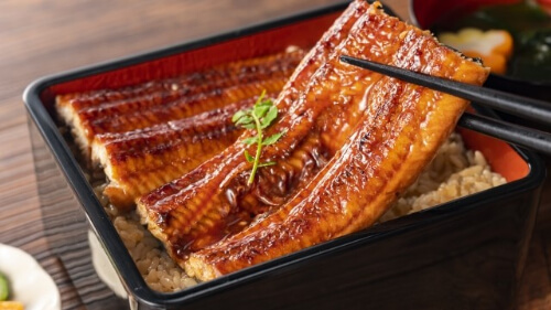 grilled eel on rice